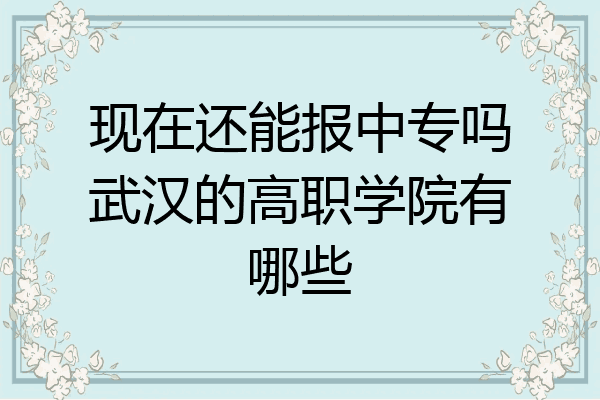 现在还能报中专吗武汉的高职学院有哪些