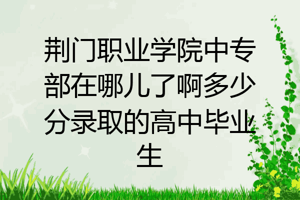 荆门职业学院中专部在哪儿了啊多少分录取的高中毕业生