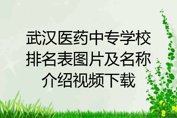 武汉医药中专学校排名表图片及名称介绍视频下载