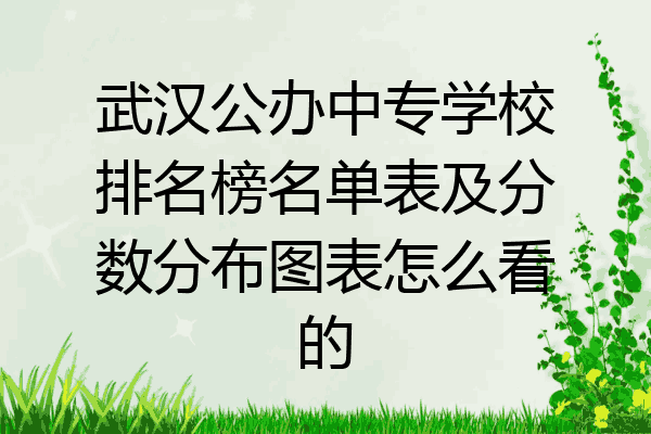 武汉公办中专学校排名榜名单表及分数分布图表怎么看的