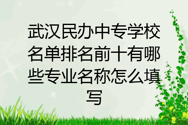武汉民办中专学校名单排名前十有哪些专业名称怎么填写