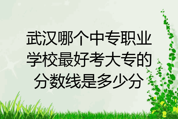 武汉哪个中专职业学校最好考大专的分数线是多少分