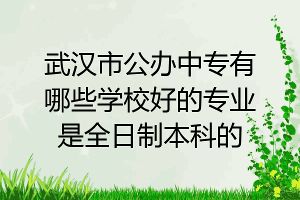 武汉市公办中专有哪些学校好的专业是全日制本科的