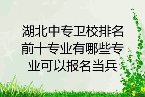 湖北中专卫校排名前十专业有哪些专业可以报名当兵
