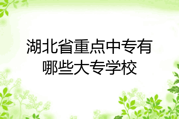 湖北省重点中专有哪些大专学校