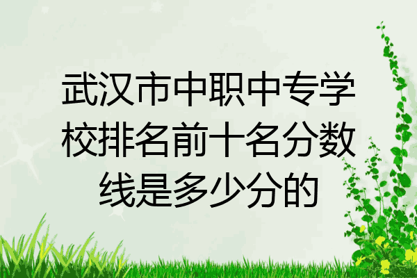 武汉市中职中专学校排名前十名分数线是多少分的