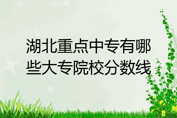 湖北重点中专有哪些大专院校分数线