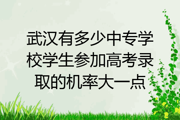 武汉有多少中专学校学生参加高考录取的机率大一点