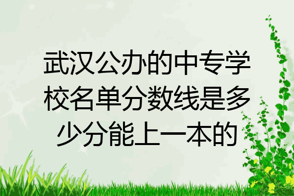 武汉公办的中专学校名单分数线是多少分能上一本的