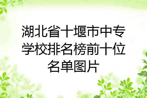 湖北省十堰市中专学校排名榜前十位名单图片