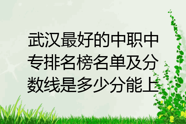 武汉最好的中职中专排名榜名单及分数线是多少分能上