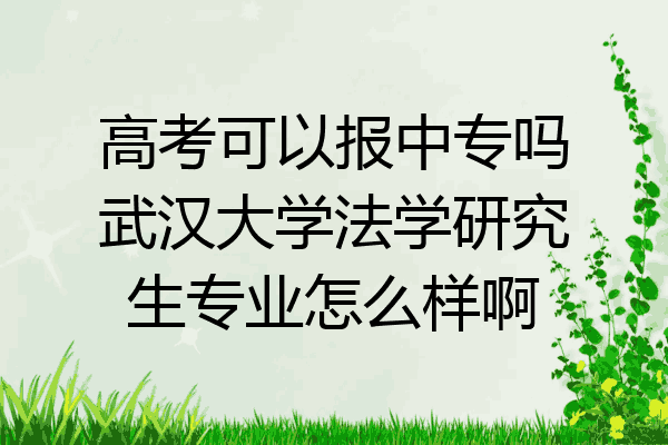 高考可以报中专吗武汉大学法学研究生专业怎么样啊
