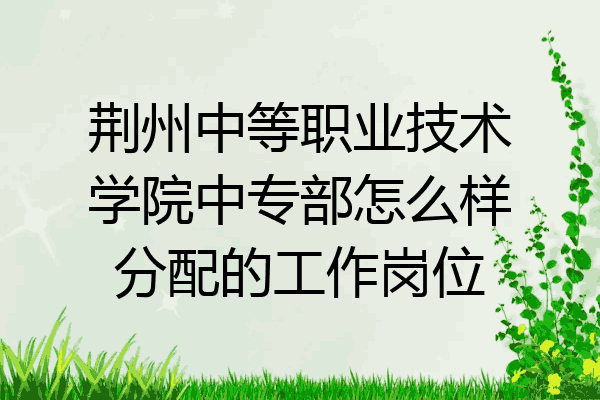 荆州中等职业技术学院中专部怎么样分配的工作岗位