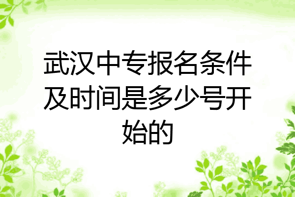 武汉中专报名条件及时间是多少号开始的