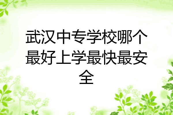 武汉中专学校哪个最好上学最快最安全