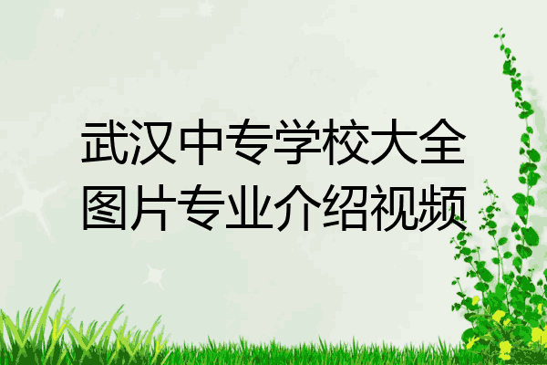 武汉中专学校大全图片专业介绍视频