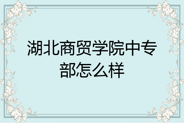 湖北商贸学院中专部怎么样