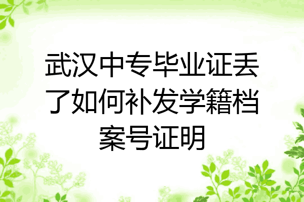 武汉中专毕业证丢了如何补发学籍档案号证明