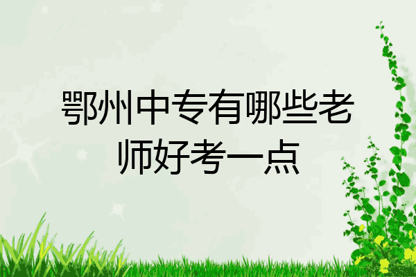 鄂州中专有哪些老师好考一点
