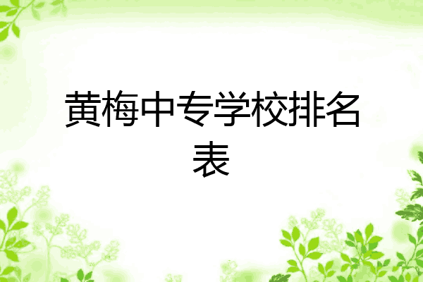 黄梅中专学校排名表
