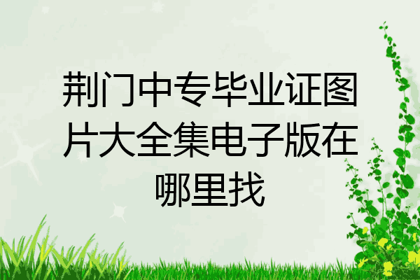 荆门中专毕业证图片大全集电子版在哪里找