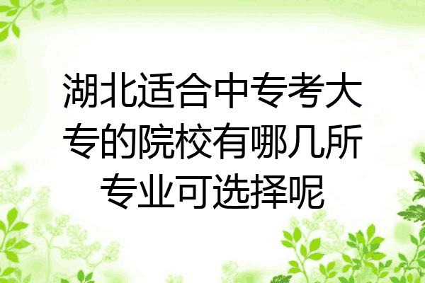 湖北适合中专考大专的院校有哪几所专业可选择呢