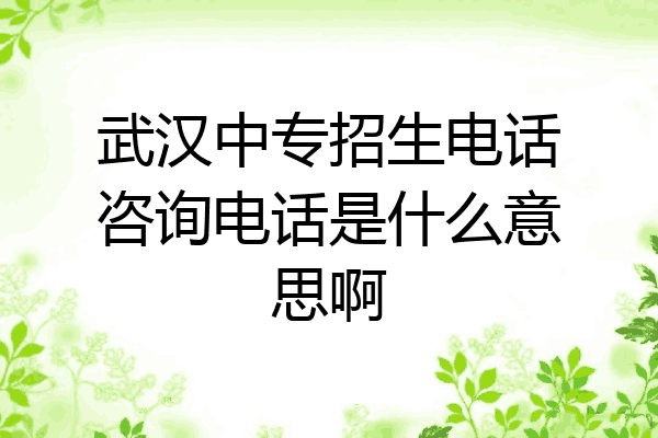 武汉中专招生电话咨询电话是什么意思啊