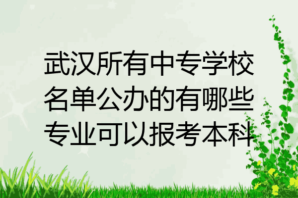 武汉所有中专学校名单公办的有哪些专业可以报考本科