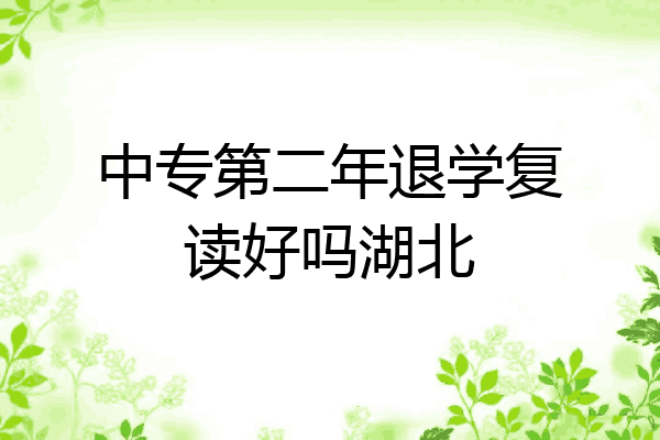 中专第二年退学复读好吗湖北