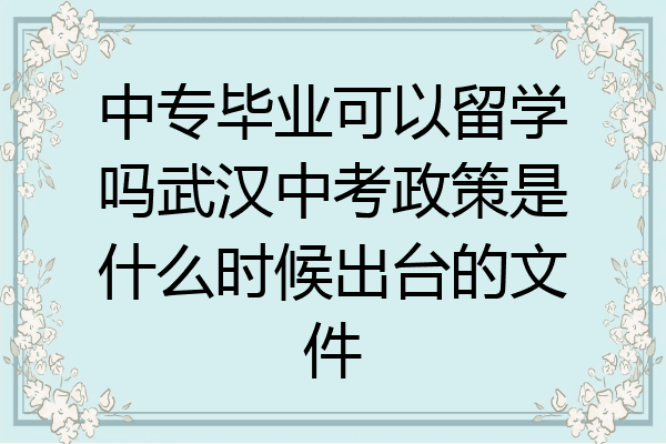 中专毕业可以留学吗武汉中考政策是什么时候出台的文件