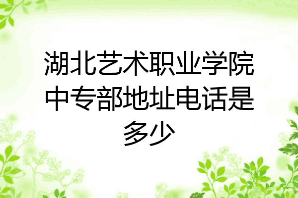 湖北艺术职业学院中专部地址电话是多少