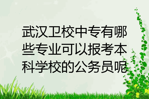 武汉卫校中专有哪些专业可以报考本科学校的公务员呢