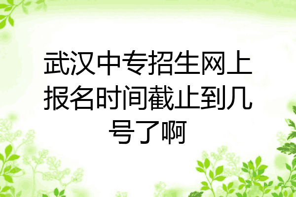 武汉中专招生网上报名时间截止到几号了啊