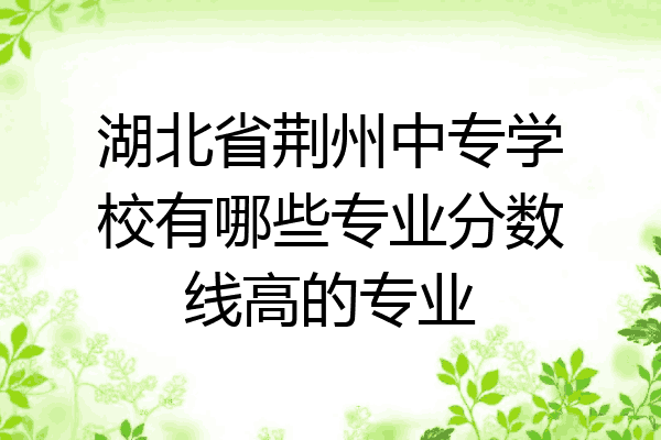 湖北省荆州中专学校有哪些专业分数线高的专业