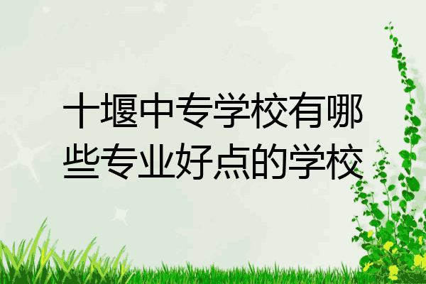 十堰中专学校有哪些专业好点的学校