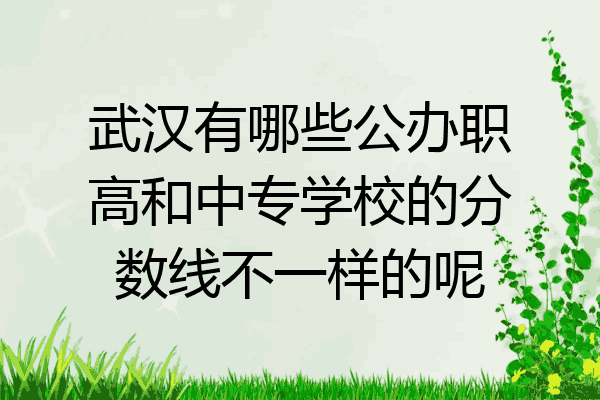 武汉有哪些公办职高和中专学校的分数线不一样的呢