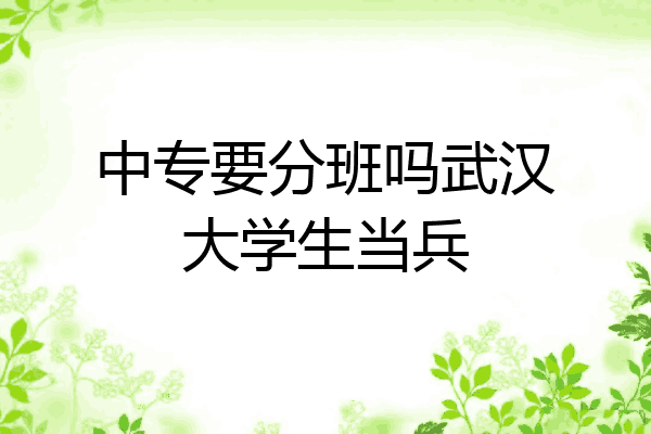 中专要分班吗武汉大学生当兵