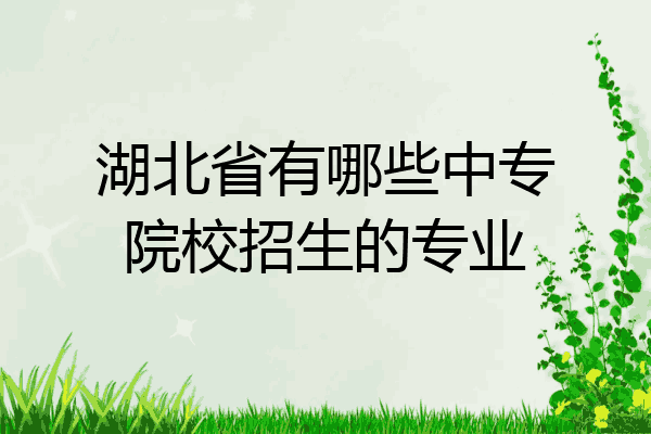 湖北省有哪些中专院校招生的专业