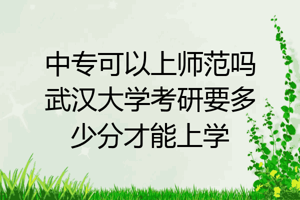 中专可以上师范吗武汉大学考研要多少分才能上学