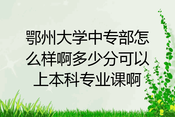 鄂州大学中专部怎么样啊多少分可以上本科专业课啊