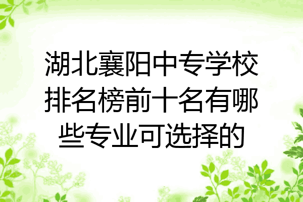 湖北襄阳中专学校排名榜前十名有哪些专业可选择的