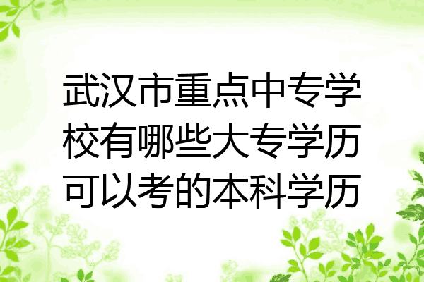 武汉市重点中专学校有哪些大专学历可以考的本科学历