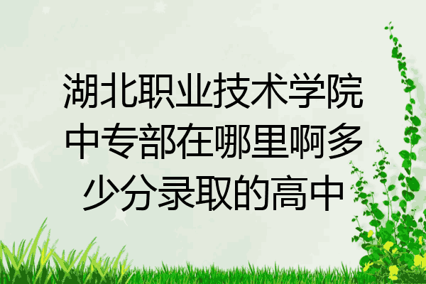 湖北职业技术学院中专部在哪里啊多少分录取的高中