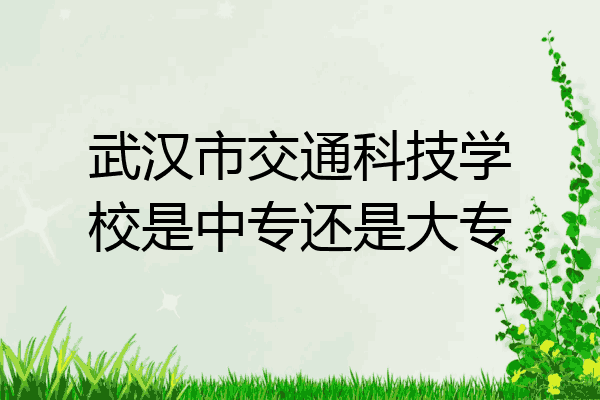 武汉市交通科技学校是中专还是大专