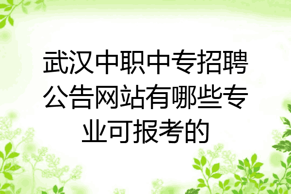 武汉中职中专招聘公告网站有哪些专业可报考的
