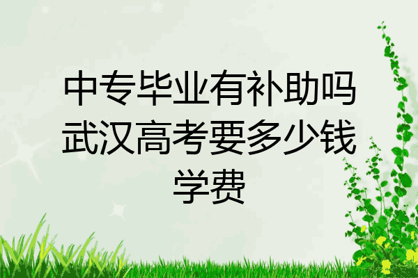 中专毕业有补助吗武汉高考要多少钱学费