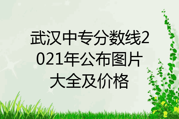 武汉中专分数线2021年公布图片大全及价格