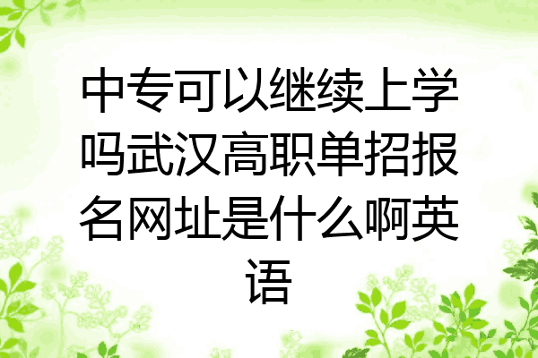 中专可以继续上学吗武汉高职单招报名网址是什么啊英语