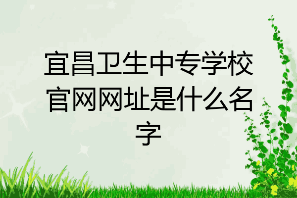 宜昌卫生中专学校官网网址是什么名字