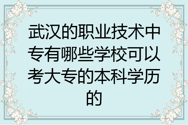 武汉的职业技术中专有哪些学校可以考大专的本科学历的